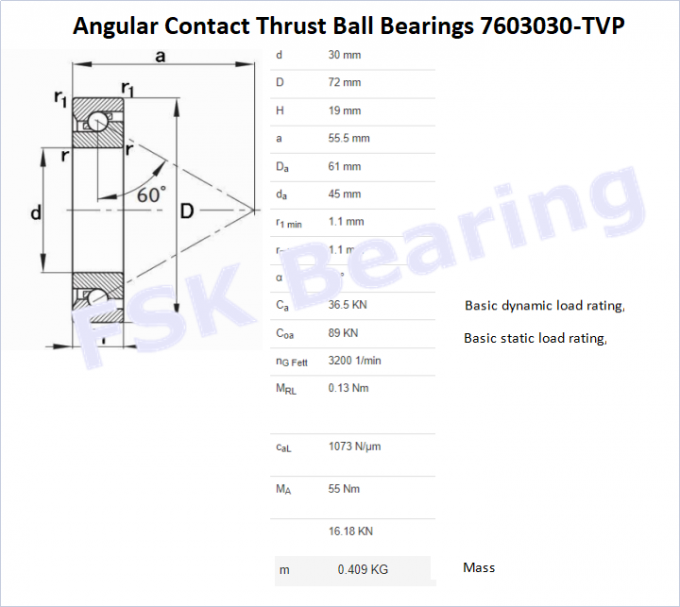 7603030 - Le contact angulaire de TVP a poussé des roulements à billes vissent la cage en nylon de soutien 2